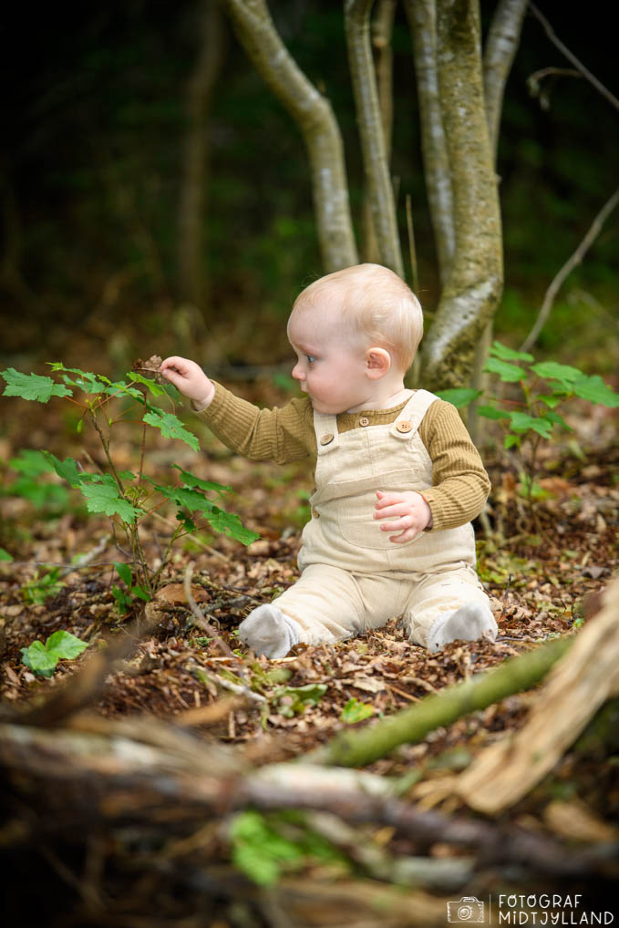 Baby fotografering i skoven
